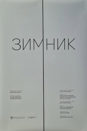 The Winter Road poster