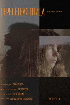 Bird Of Passage poster