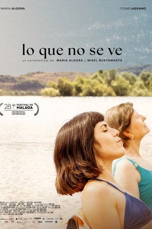 Lo que no se ve