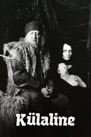 The Visitor