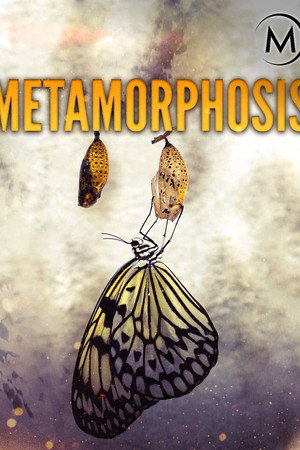 Metamorphosis poster