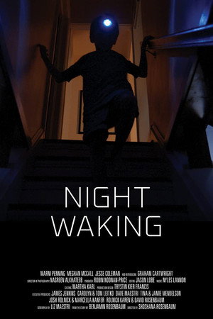 Night Waking poster