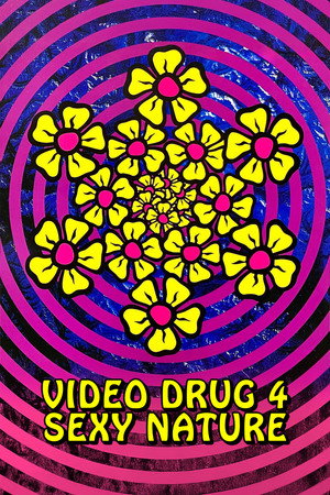 Video Drug 4: Sexy Nature poster