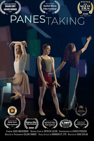 Panes Taking poster