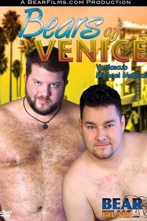 Bears of Venice