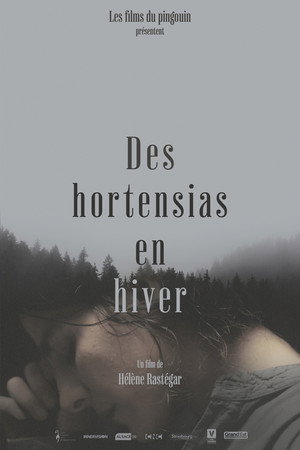 Des Hortensias en Hiver