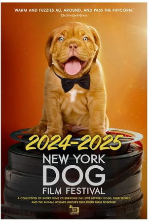 2024–2025 New York Dog Film Festival