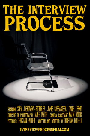 The Interview Process poster