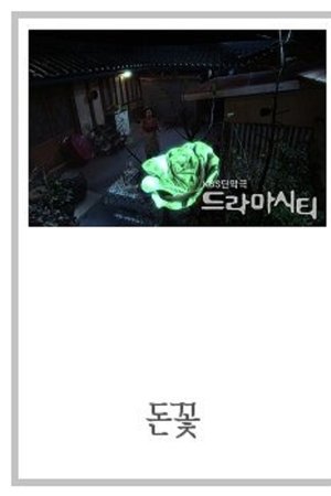 드라마 시티 - 돈꽃