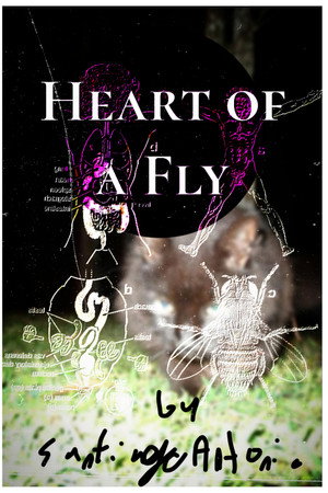 Heart of a Fly poster