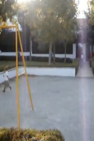 En El Camino, De Cuando En Cuando, Vislumbré Breves Momentos De Belleza