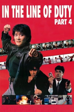 In The Line Of Duty 4: Witness