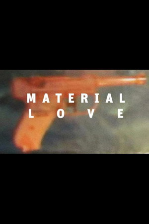 Material Love poster