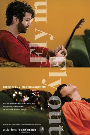 Fly In Fly Out poster
