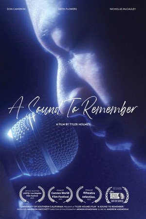 A Sound to Remember poster