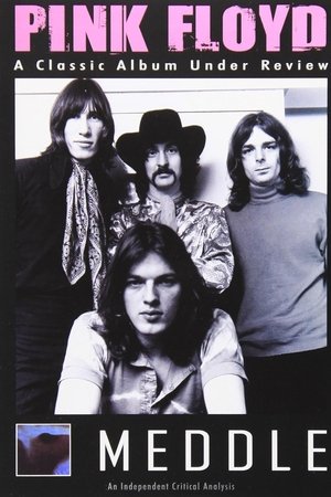 Poster of Pink Floyd: Meddle - A Classic Album Under Review