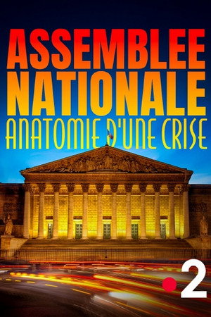 Assemblée nationale, anatomie d'une crise poster