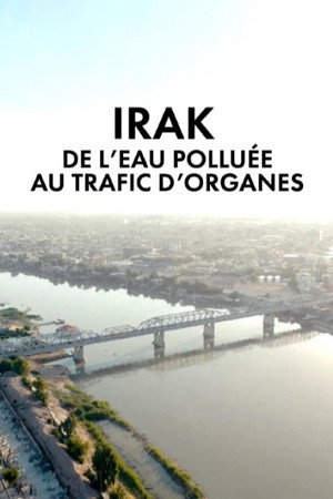 Irak,  de l'eau polluée au trafic d'organes poster