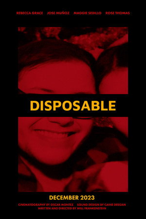 Disposable poster