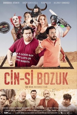 Cin-si Bozuk