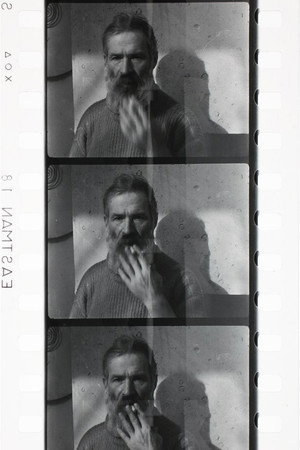 Les films de Brancusi poster
