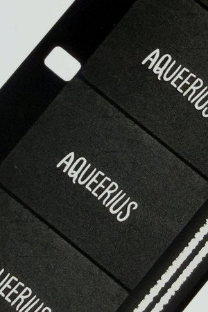 Aqueerius
