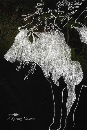 A Spring Unseen poster