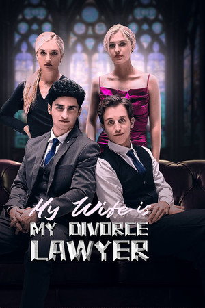 My Wife is My Divorce Lawyer