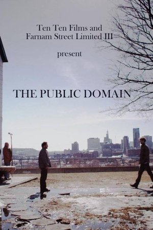 The Public Domain