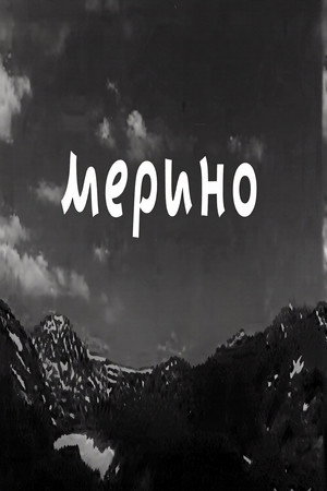 Merino poster