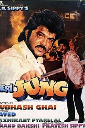 मेरी जंग