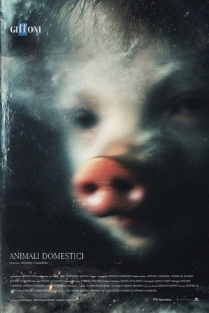 Animali Domestici poster