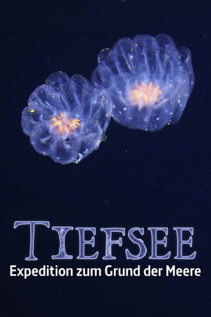 Faszination Tiefsee - Expedition zum Grund der Meere poster