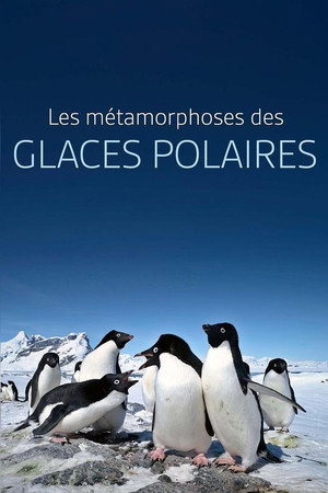 Les métamorphoses des glaces polaires : Un défi pour les écosystèmes poster