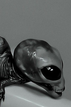 Small talk about the Reptilian