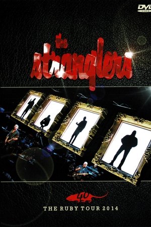 The Stranglers: The Ruby Tour