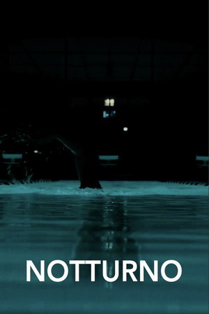 Notturno poster