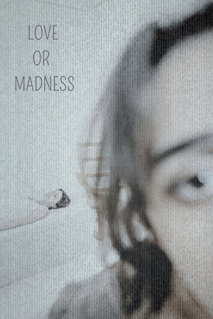 LOVE OR MADNESS poster