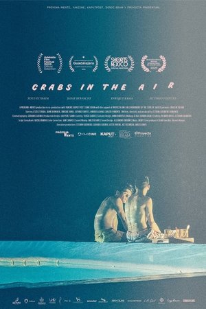 Crabs in the Air