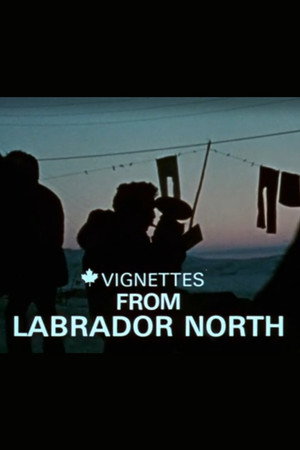 Canada Vignettes: Vignettes from Labrador North