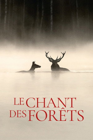 Le Chant des forêts Le Chant des forêts
