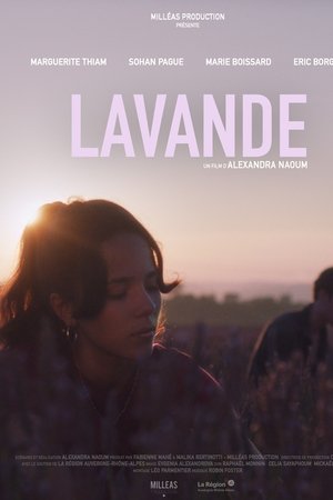 Lavande
