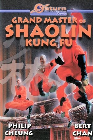 達摩神功