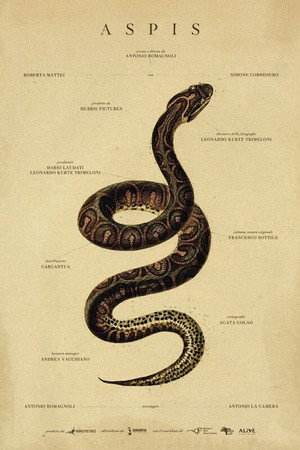 Aspis poster