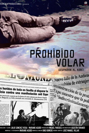 Prohibido volar, Disparan al aire poster