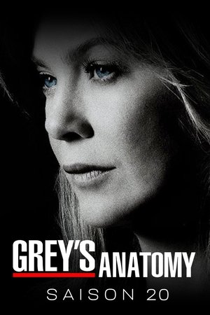 Grey's Anatomy