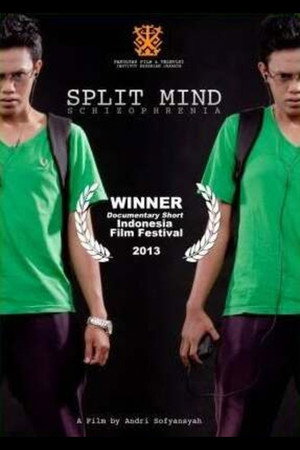 Split Mind poster
