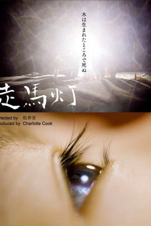 Revolving Lanterns poster