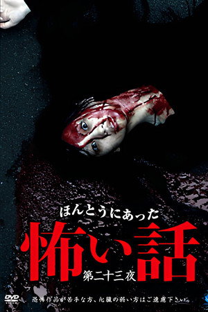 Scary True Stories: Night 23 poster