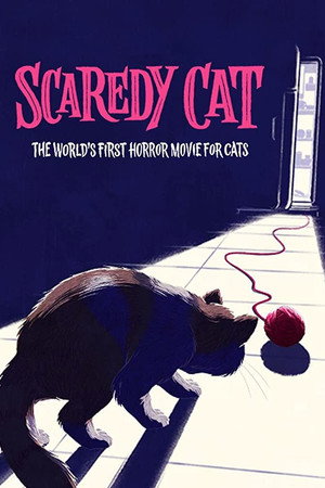 Scaredy Cat poster
